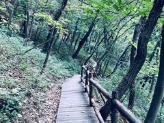-北京上方山国家森林公园