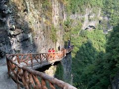 -鹿院坪生态旅游景区