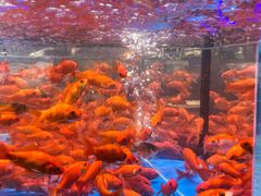 -万达广场(临港店)