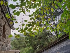 -白水寺森林公园