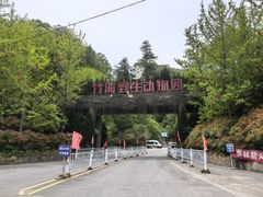 -栾川竹海野生动物园