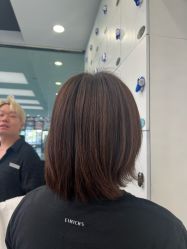 -YESIDO椰岛造型