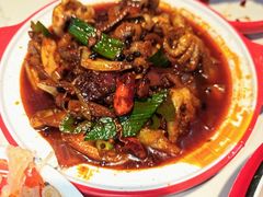 -堕落小龙虾(兰州旗舰店)
