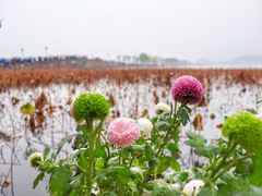 -杭州西湖风景名胜区-北街寻梦