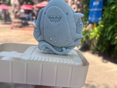 -新加坡水上探险乐园