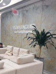 -上海首尔丽格医疗美容医院