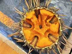 -海胆小馆(东北水饺·春柳店)