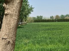 -汉长安城未央宫国家考古遗址公园