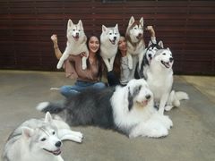 -TrueLove @ Neverland (Husky Cafe)