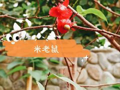 -北京植物园-展览温室