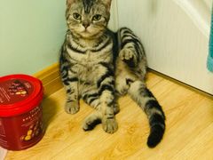 -平行世界·猫咖(首经贸店)