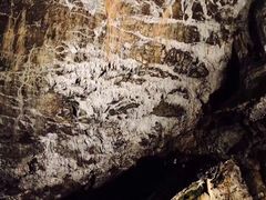 -波斯托伊纳溶洞