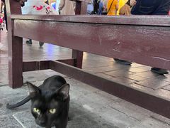 -迪拜黄金市场