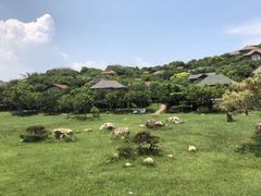 -深圳阿普萨拉斯酒店