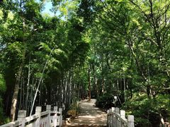 -虞山风景区