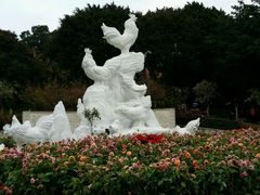 -金鸡山公园
