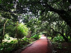 -风云岭森林公园