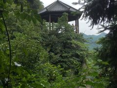 -夏霖九天银瀑风景区