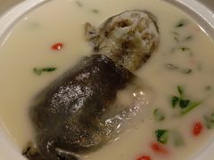 东坡河豚-肆月河豚·新淮扬(金融街店)