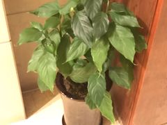 -翡翠湖迎宾馆·游泳馆