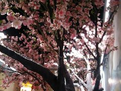 -绿茶餐厅(昌平悦荟店)