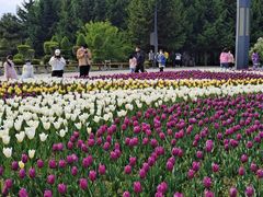 -长春公园(普阳街道)