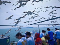 -海驴岛(荣成市)