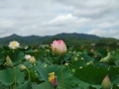 -古田会议纪念馆