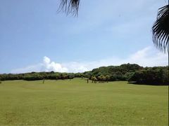 -鹅銮鼻公园