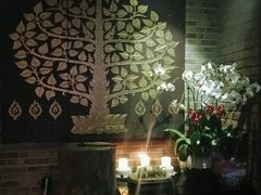 -Judy's  spot