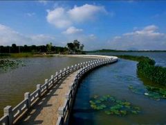 -松山湖南湖湾露营营地