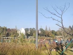-宁波儿童公园(鄞州区)