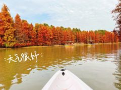 -上海海湾国家森林公园