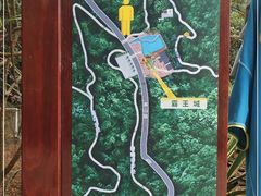 -东莞市大岭山森林公园