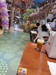 点击看大图 -卡通尼·Safari非洲探索乐园·生日会(金桥国际商业广场店)