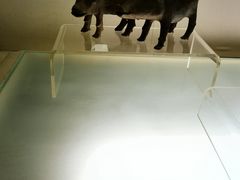 -旅顺博物馆
