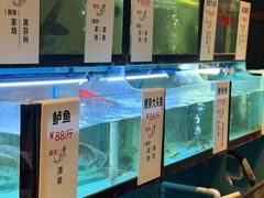 -川味里•商务宴请•团建聚餐(清湖店)