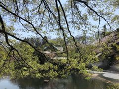 -井之头恩赐公园