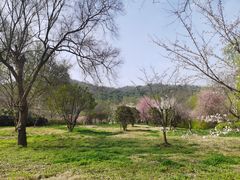 -采石矶景区