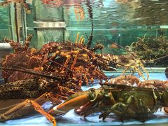 -旺顺阁海鲜广场(亚运村店)
