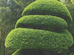 -苏州河梦清园环保主题公园