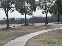 -上海长兴岛郊野公园