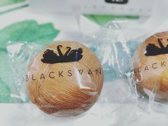 -BLACKSWAN黑天鹅(环球店)