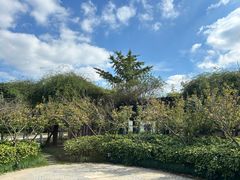 -荷风细雨·中国茶宴(碧云店)