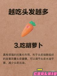 -Bollins波林丝•专研护发中心