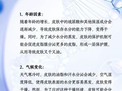 -上海明天广场JW万豪酒店