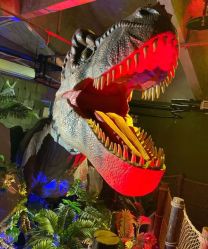 -恐龙探索乐园(磁器口店)
