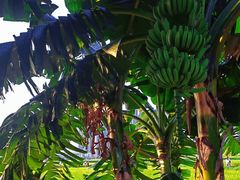 -光明小镇欢乐田园