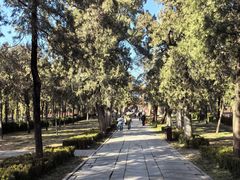 -中岳庙