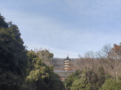 -灵谷景区